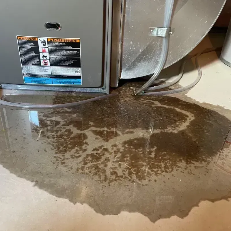 Appliance Leak Cleanup in Lakewood Shores, IL